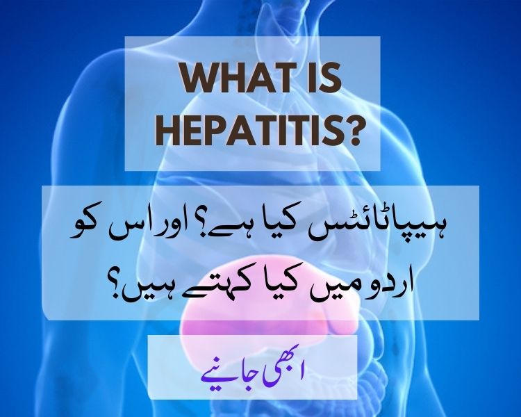 hepatitis meaning in urdu