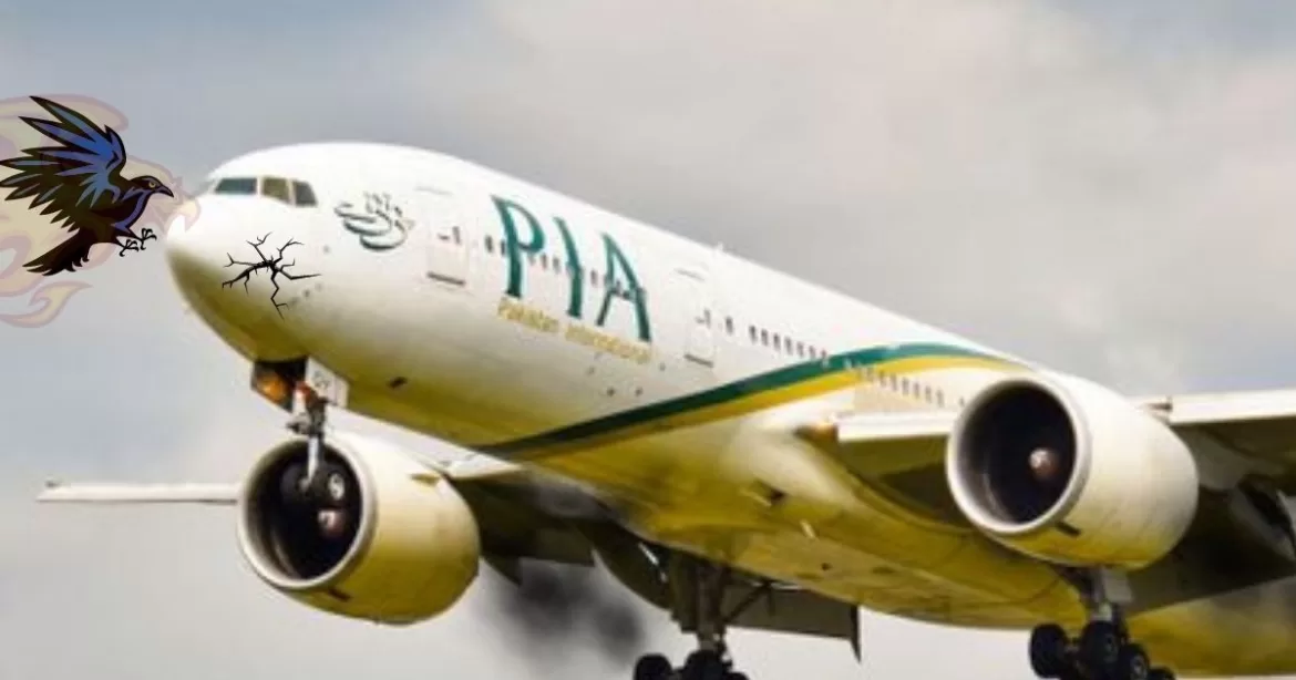 PIA Suffers 29 Bird Strike Losses in 5 months According to CAA
