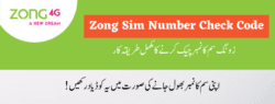 zong sim number check code