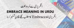 embrace meaning in urdu
