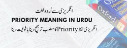 priority meaning in urdu
